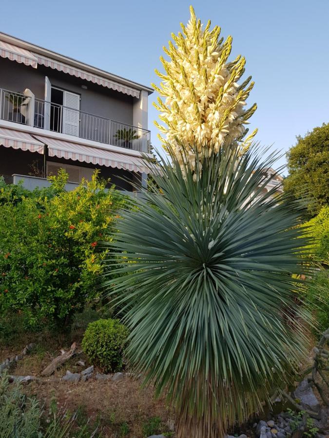 Hotel House Diana Dramalj Exterior foto